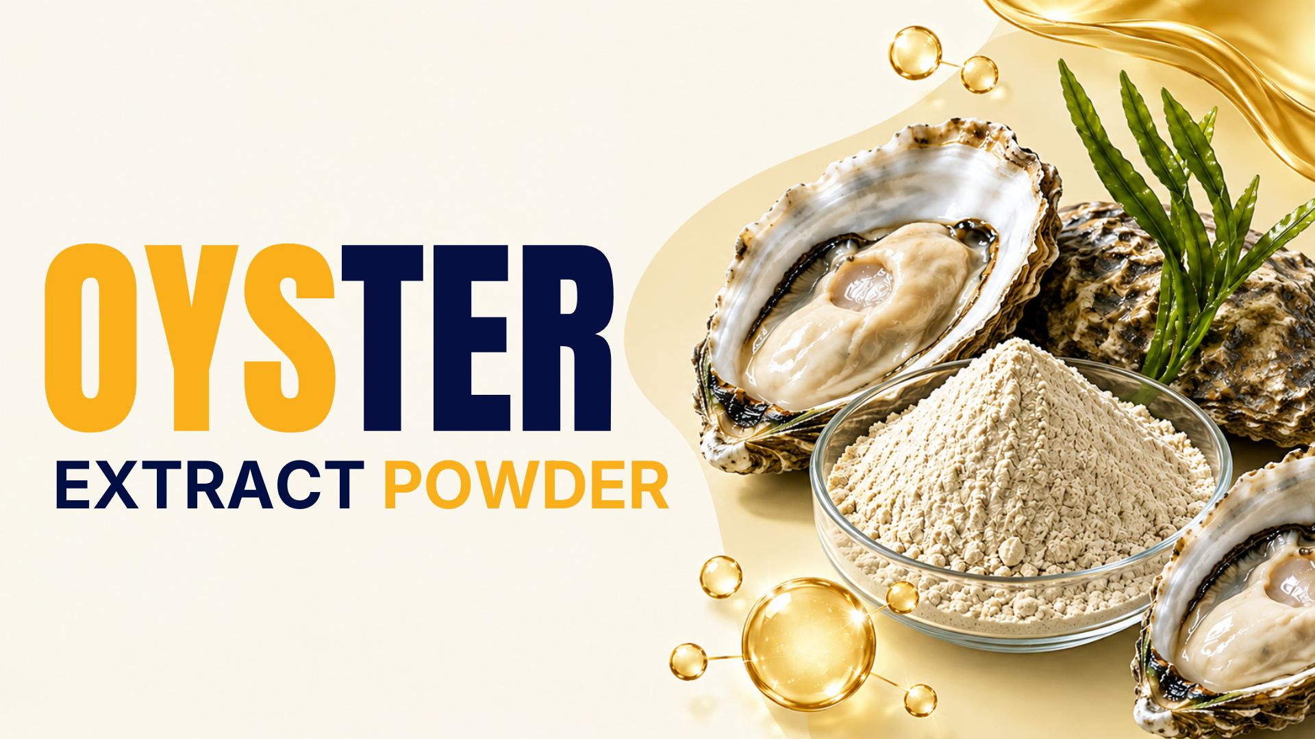 Overview of Oyster Extract Derived from Marine Oysters